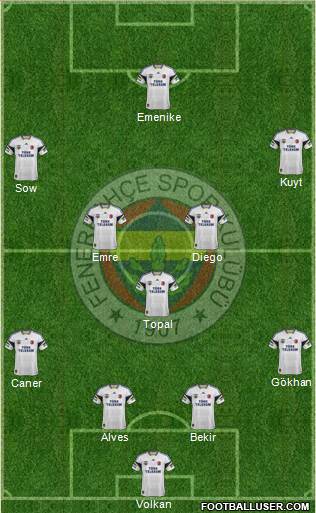 Fenerbahçe SK Formation 2014