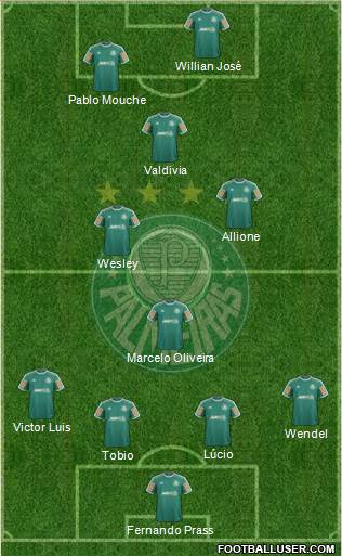 SE Palmeiras Formation 2014