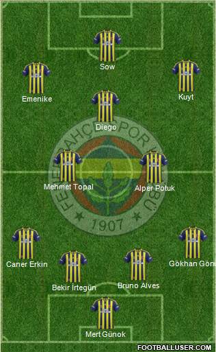 Fenerbahçe SK Formation 2014