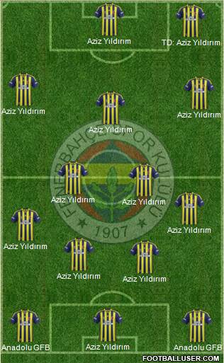 Fenerbahçe SK Formation 2014
