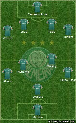 SE Palmeiras Formation 2014
