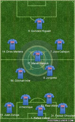 Napoli Formation 2014