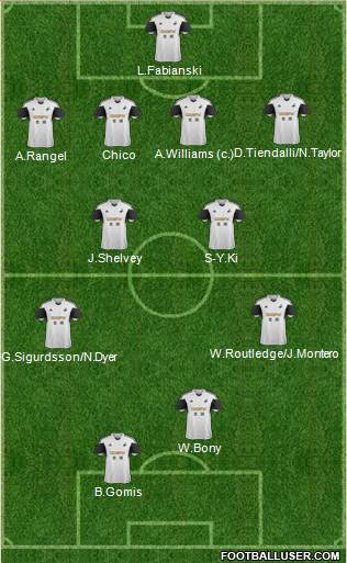 Swansea City Formation 2014