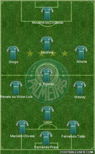 SE Palmeiras Formation 2014