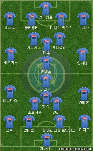Napoli Formation 2014