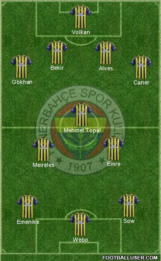 Fenerbahçe SK Formation 2014