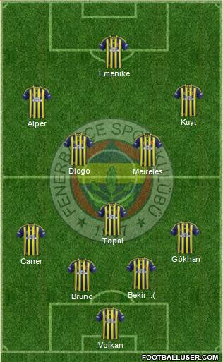 Fenerbahçe SK Formation 2014