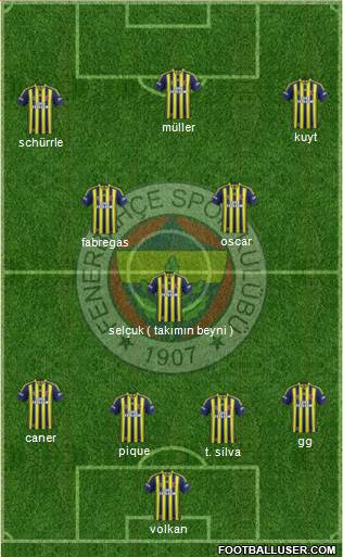 Fenerbahçe SK Formation 2014