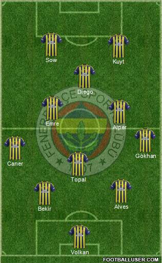 Fenerbahçe SK Formation 2014