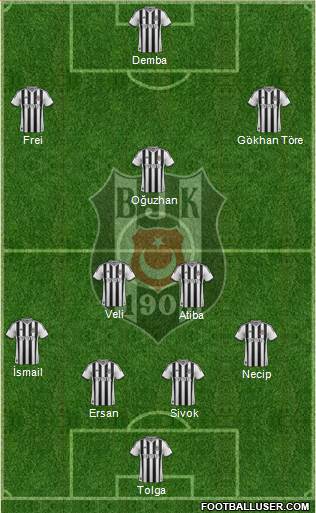 Besiktas JK Formation 2014