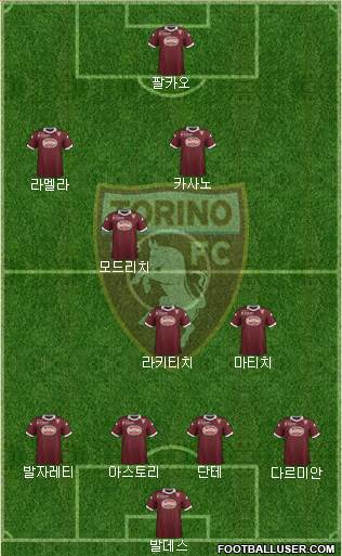 Torino Formation 2014