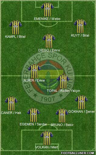 Fenerbahçe SK Formation 2014