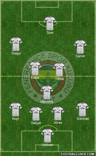 Fenerbahçe SK Formation 2014