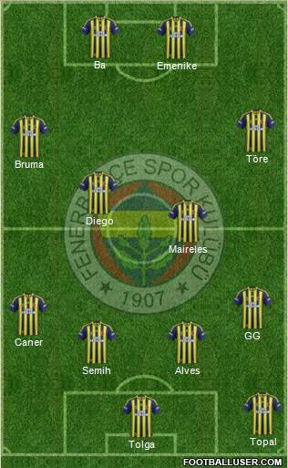 Fenerbahçe SK Formation 2014