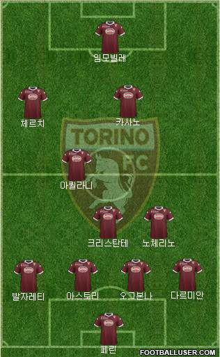 Torino Formation 2014