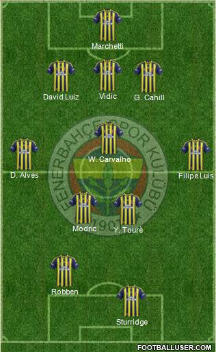 Fenerbahçe SK Formation 2014