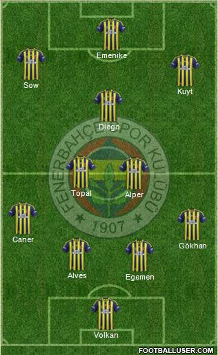 Fenerbahçe SK Formation 2014