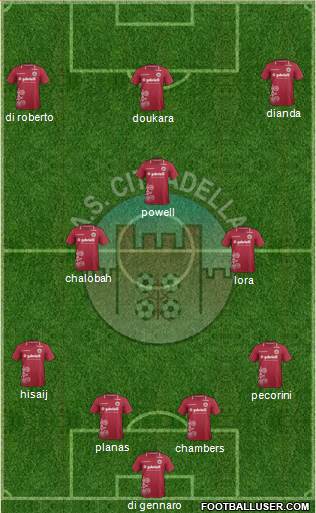 Cittadella Formation 2014