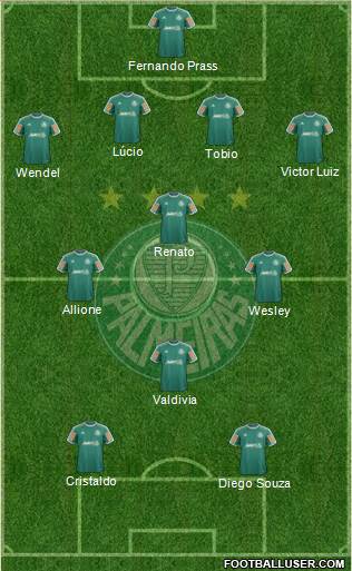 SE Palmeiras Formation 2014