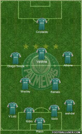 SE Palmeiras Formation 2014
