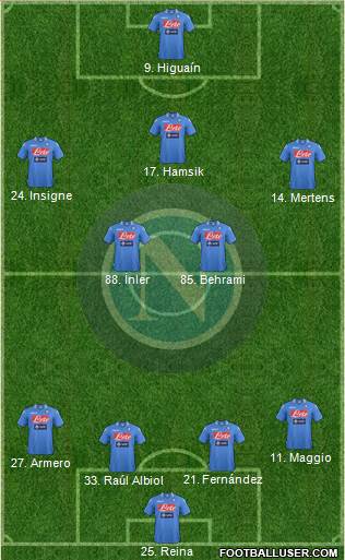 Napoli Formation 2014