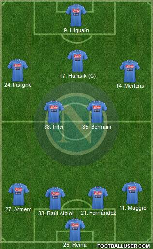 Napoli Formation 2014