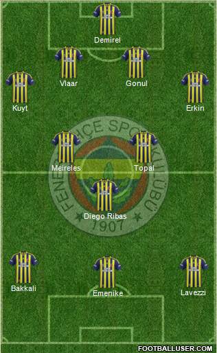 Fenerbahçe SK Formation 2014