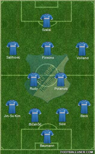TSG 1899 Hoffenheim Formation 2014