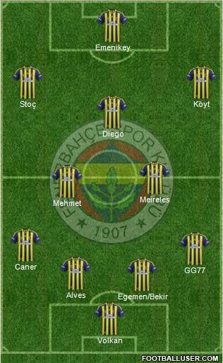 Fenerbahçe SK Formation 2014