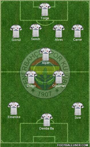 Fenerbahçe SK Formation 2014