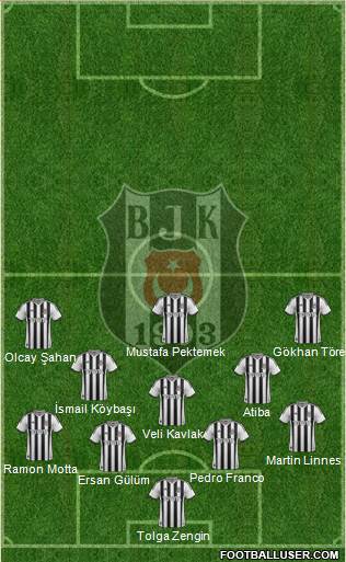 Besiktas JK Formation 2014