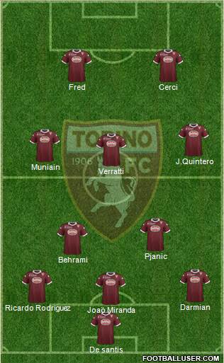 Torino Formation 2014