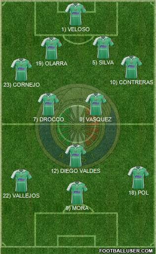 CD Audax Italiano de La Florida S.A.D.P. Formation 2014