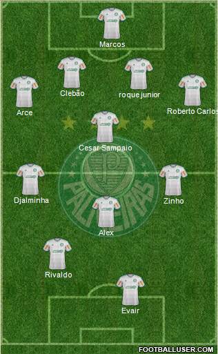 SE Palmeiras Formation 2014