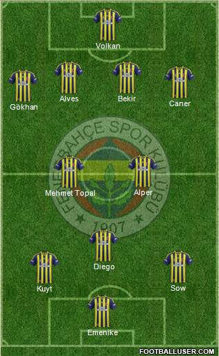 Fenerbahçe SK Formation 2014
