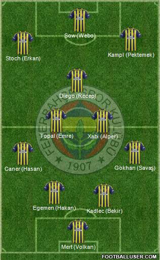 Fenerbahçe SK Formation 2014