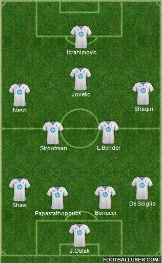 Tottenham Hotspur Formation 2014