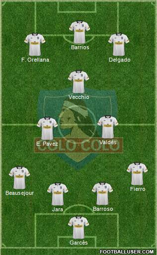 CSD Colo Colo Formation 2014