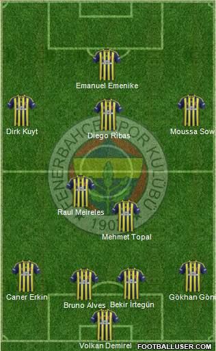 Fenerbahçe SK Formation 2014