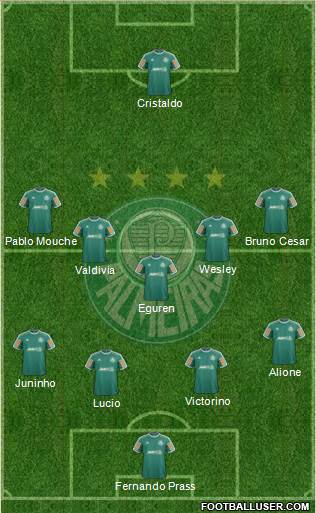 SE Palmeiras Formation 2014