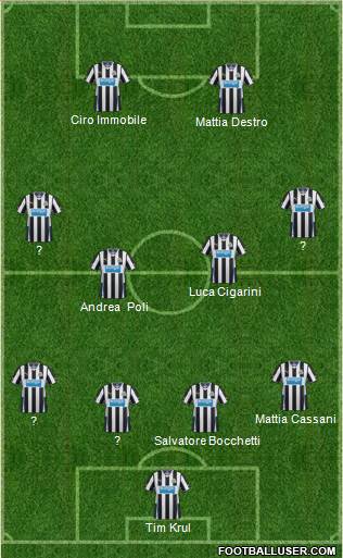 Newcastle United Formation 2014