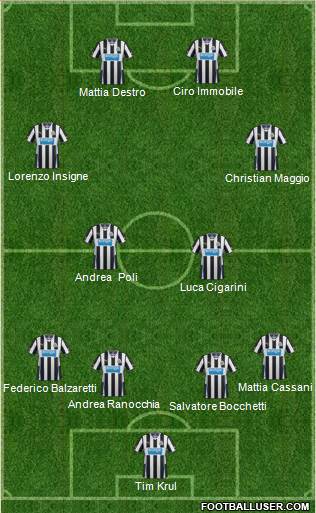 Newcastle United Formation 2014