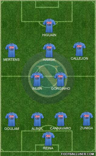 Napoli Formation 2014