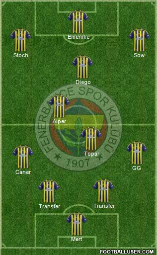 Fenerbahçe SK Formation 2014