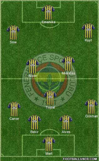 Fenerbahçe SK Formation 2014