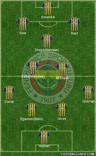 Fenerbahçe SK Formation 2014