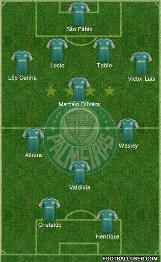 SE Palmeiras Formation 2014