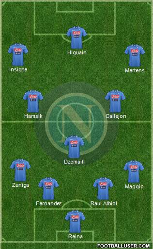 Napoli Formation 2014