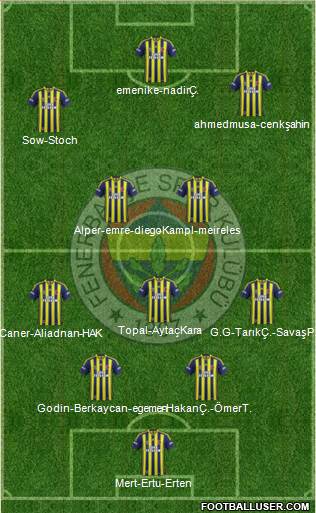 Fenerbahçe SK Formation 2014
