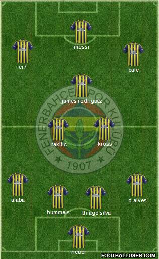 Fenerbahçe SK Formation 2014
